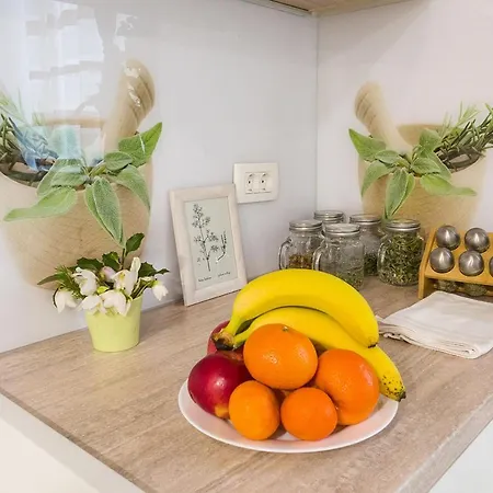 Apartman Aromatic Herbs Loft -new, Central & Parking *