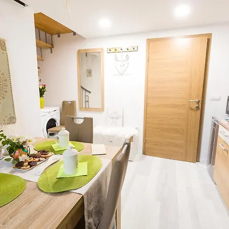 Apartman Aromatic Herbs Loft -new, Central & Parking Ljubljana