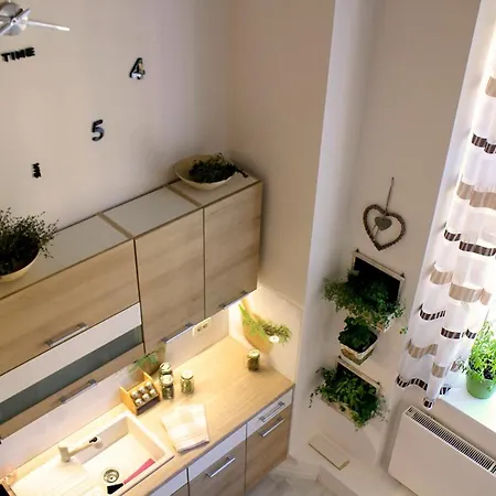 Aromatic Herbs Loft -new, Central & Parking Apartman
