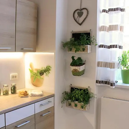 Aromatic Herbs Loft -new, Central & Parking * ليوبليانا
