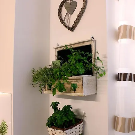 Aromatic Herbs Loft -new, Central & Parking